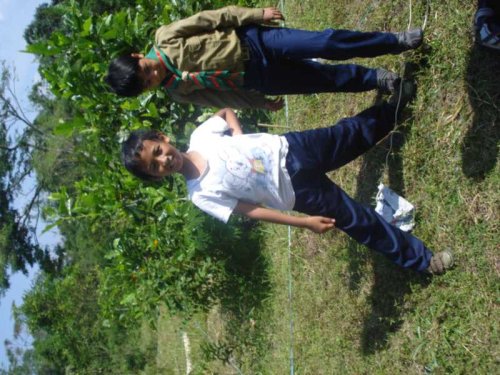 DSC09896_1